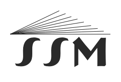 Įmonės SIDONOS STATYBINĖS MEDŽIAGOS, UAB logotipas