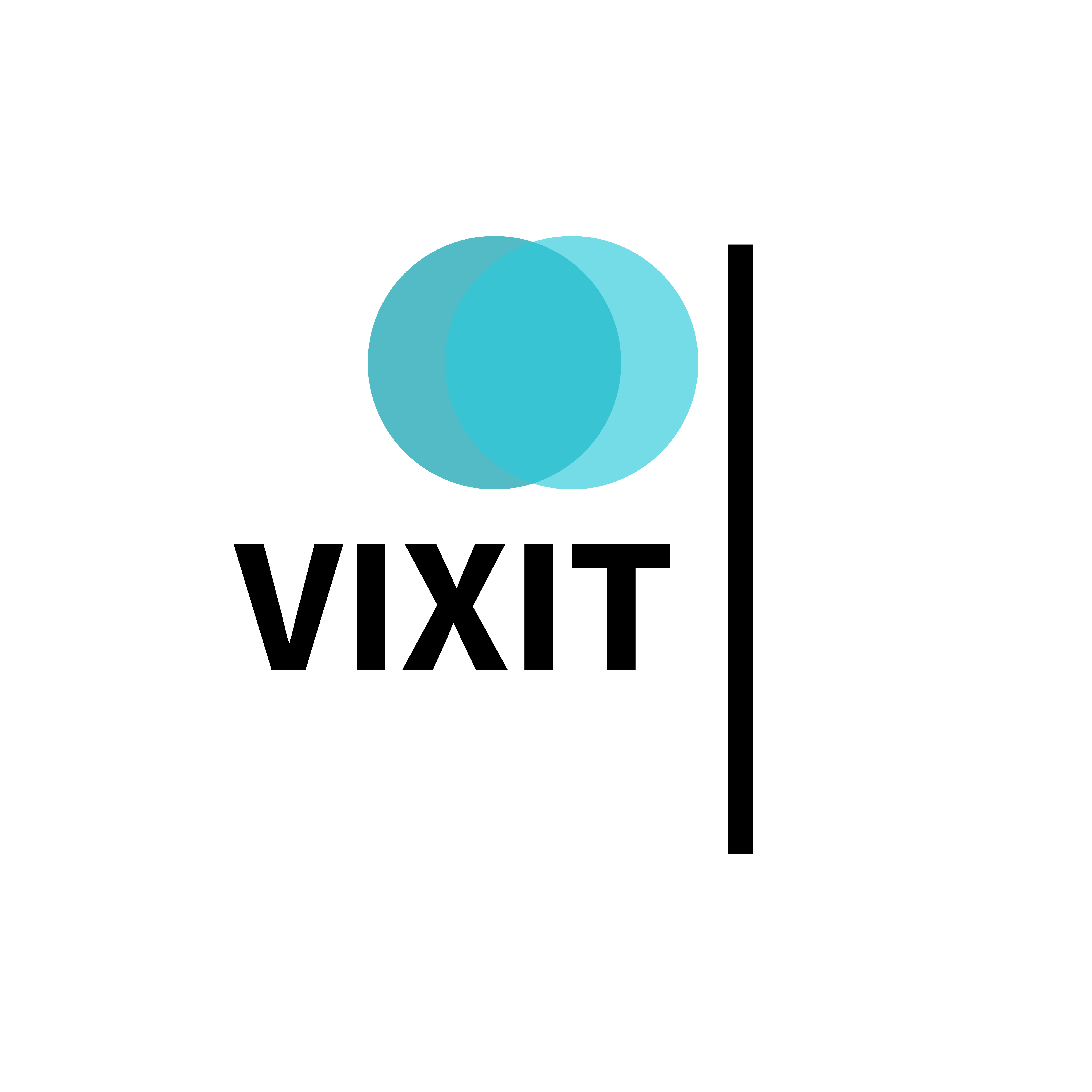 Įmonės VIXIT, UAB logotipas